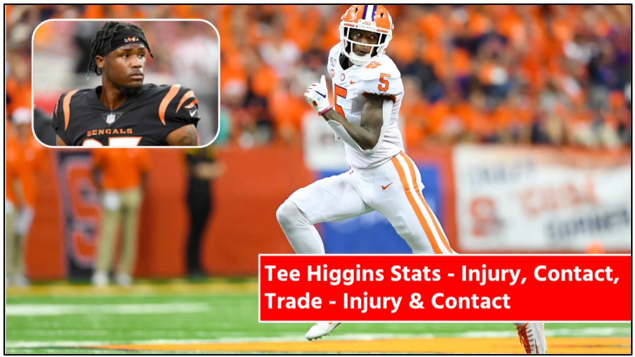 Tee Higgins Stats